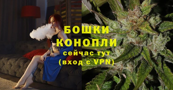 соль ск Верхний Тагил