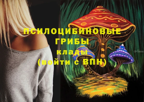мяу мяу кристалл Верея